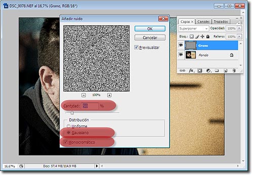 Grano en Photoshop - Paso 2