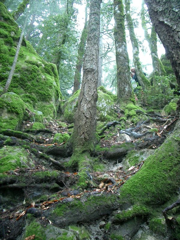 por jurvetson por jurvetson