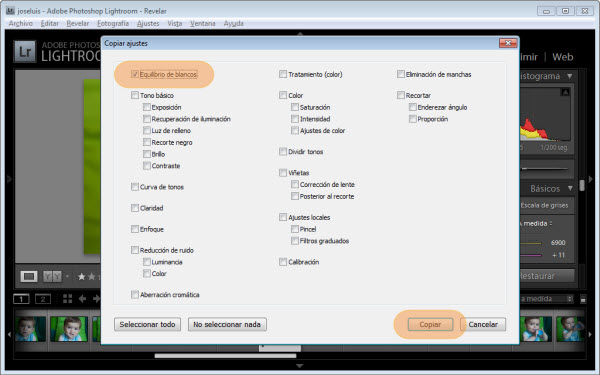 Balance de blancos en Lightroom - Copia de ajustes