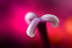 Foto de gjeewaytee on and off