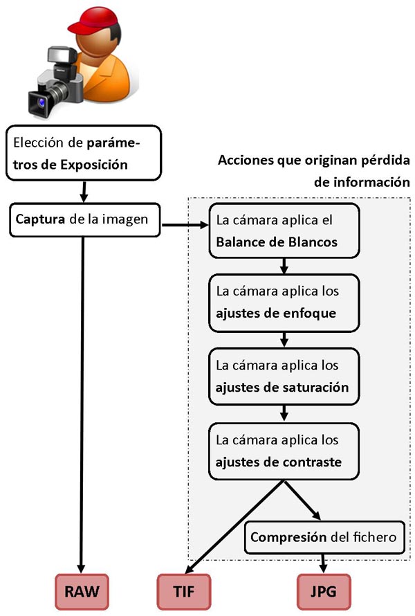 Gráfico comparación ficheros gráficos: RAW, JPG y TIF