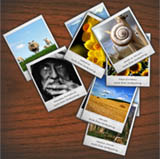 Polaroid Gallery