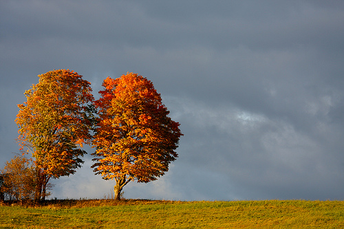 Foto de  Martin Cathrae