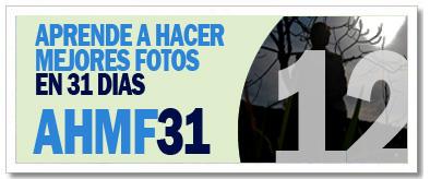 AHMF31 [día12]