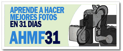 AHMF31 [día15]