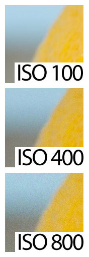 Efectos de la Sensibilidad ISO