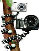 Gorillapod