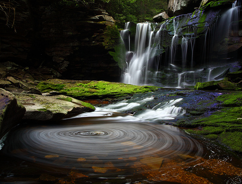 Foto de ForestGladesiWander