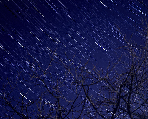 Foto de Il conte di Luna