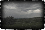 Pon Lluvia