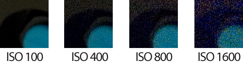 Sensibilidad ISO 100 a 1600 - Detalle 1