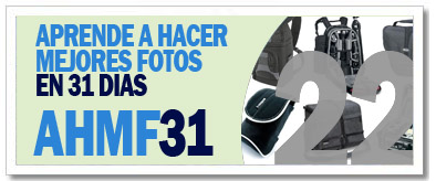 AHMF31 [día22]