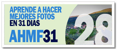 AHMF31 [día28]