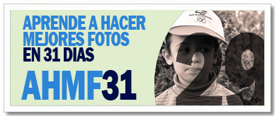 AHMF31 [día 29]