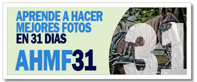 AHMF31 [día31]