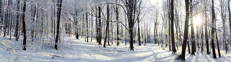 panoramica-nieve-734x200.jpg