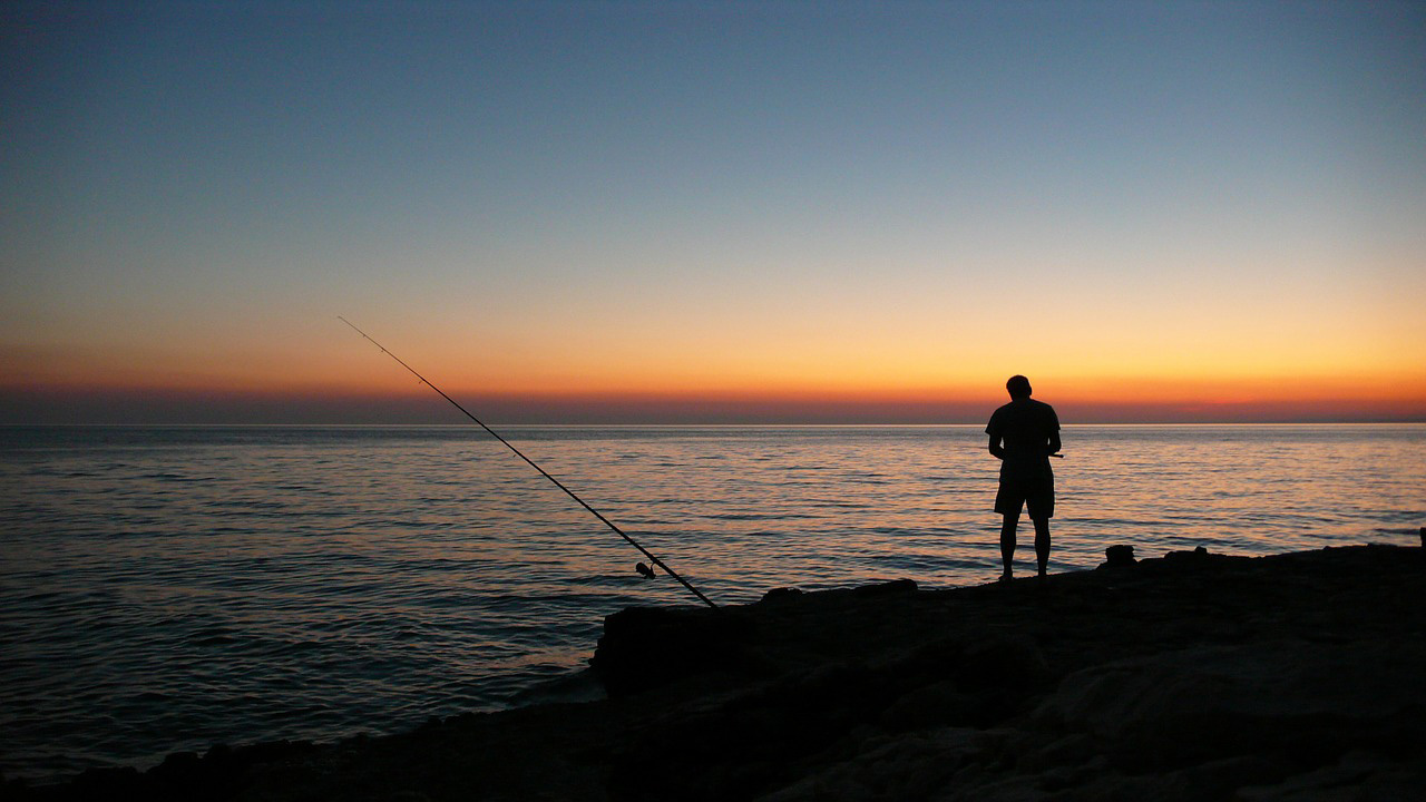 Resultat d'imatges de atardecer