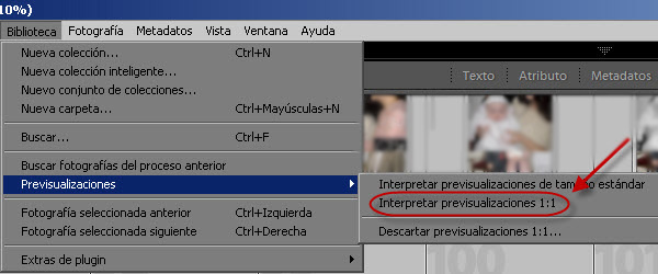 Lightroom - Previsualizaciones 1:1