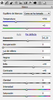 Controles de exposición en Camera RAW