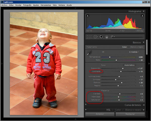 Flujo de Trabajo RAW - Paso 4 - Ajustar el contraste y saturación