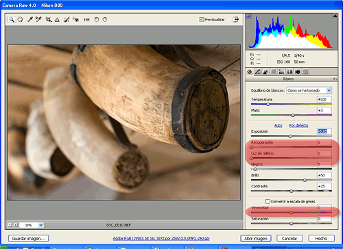 Ajustes en Camera RAW 4.0