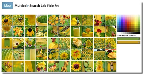Multicolr Search Lab