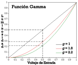 Curva Gamma