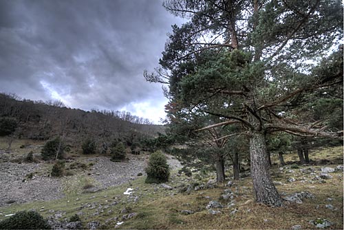 Ajustes HDR con Topaz - Antes