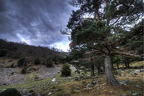 Ajustes HDR con Topaz - Después