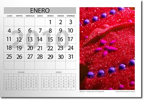 Calendario Photoshop 2010