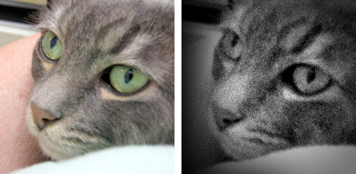 Holga antes y despues