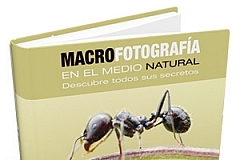 macro