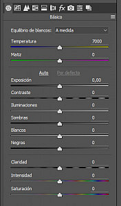 Adobe Camera RAW (ACR) de Photoshop: La Guía Completa