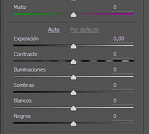 Adobe Camera RAW (ACR) de Photoshop: La Guía Completa
