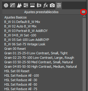 camera-raw-ajustes-preestablecidos-menu