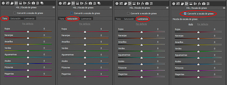 camera-raw-hsl-escala-de-grises