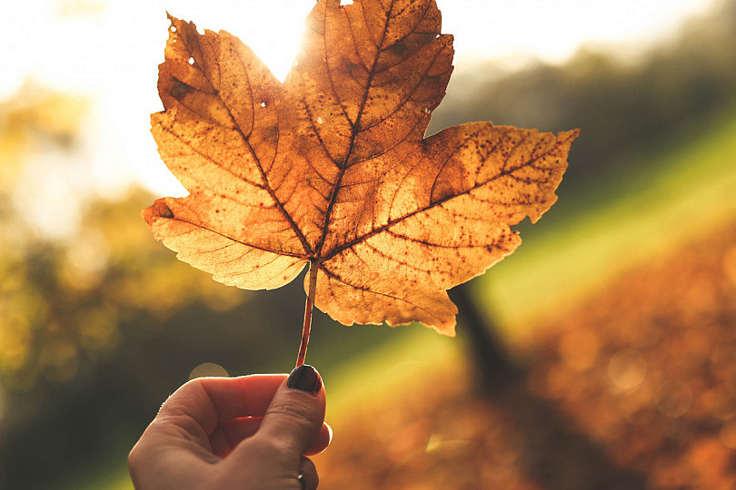 Resultado de imagen para fotos en otoño