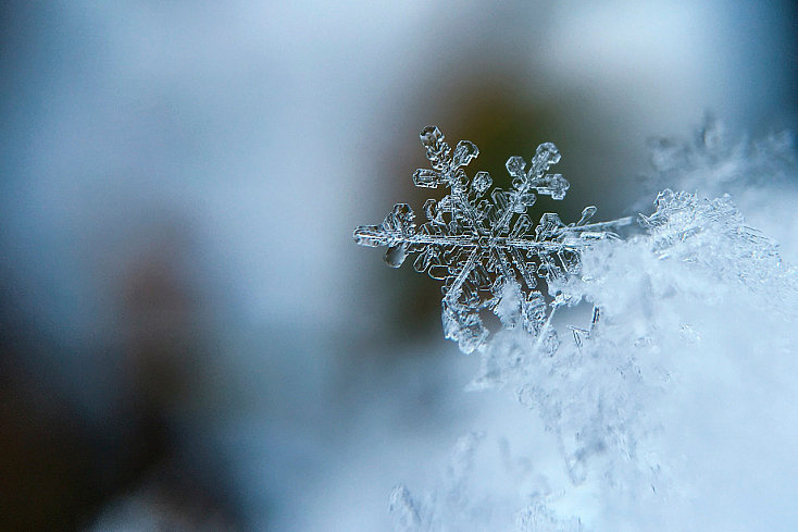 copo-nieve-macro