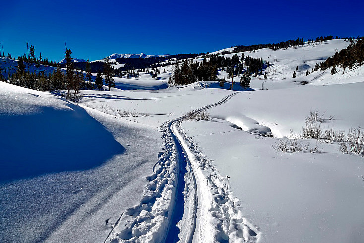 paisaje-camino-nieve