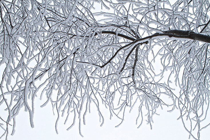 rocio-matinal-nieve-hielo