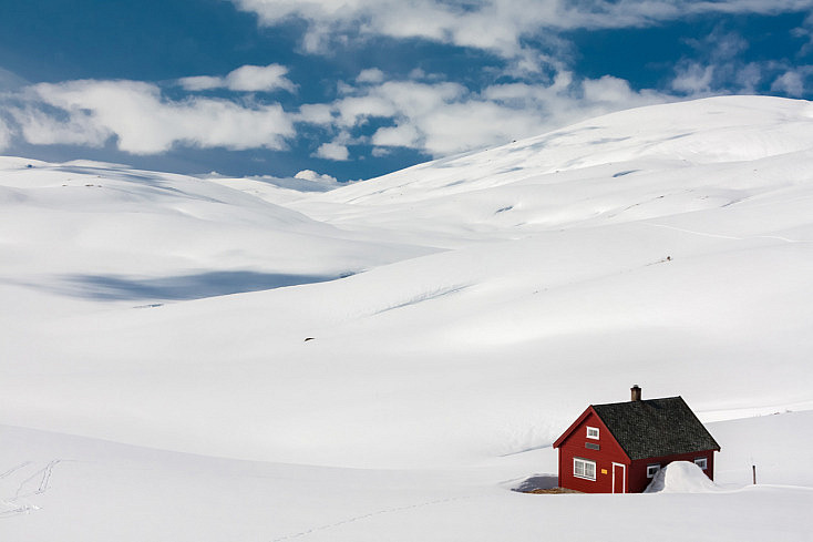 rojo-contraste-nieve-composicion