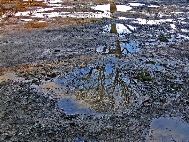 Reflejo 17