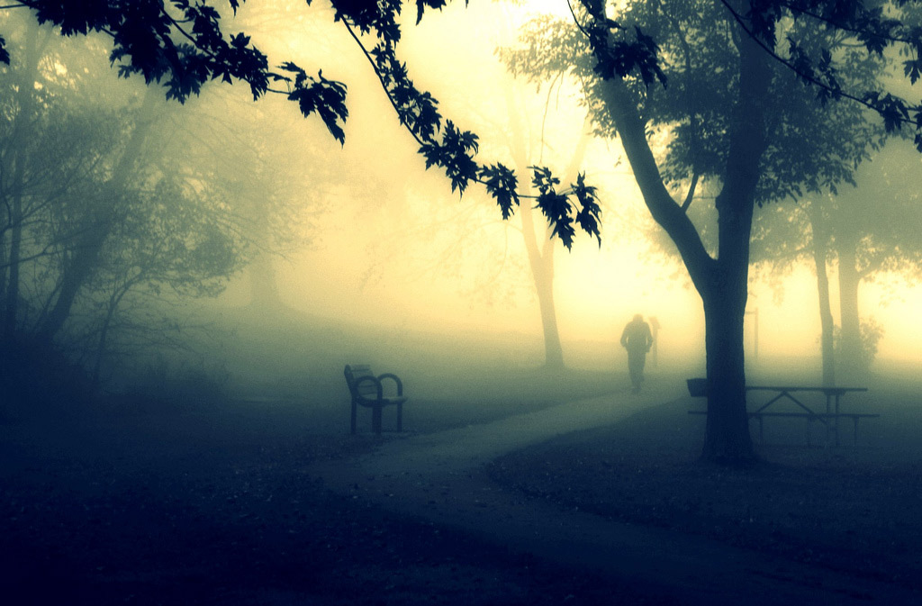 16 Hermosas Fotos en la Niebla para Inspirarte