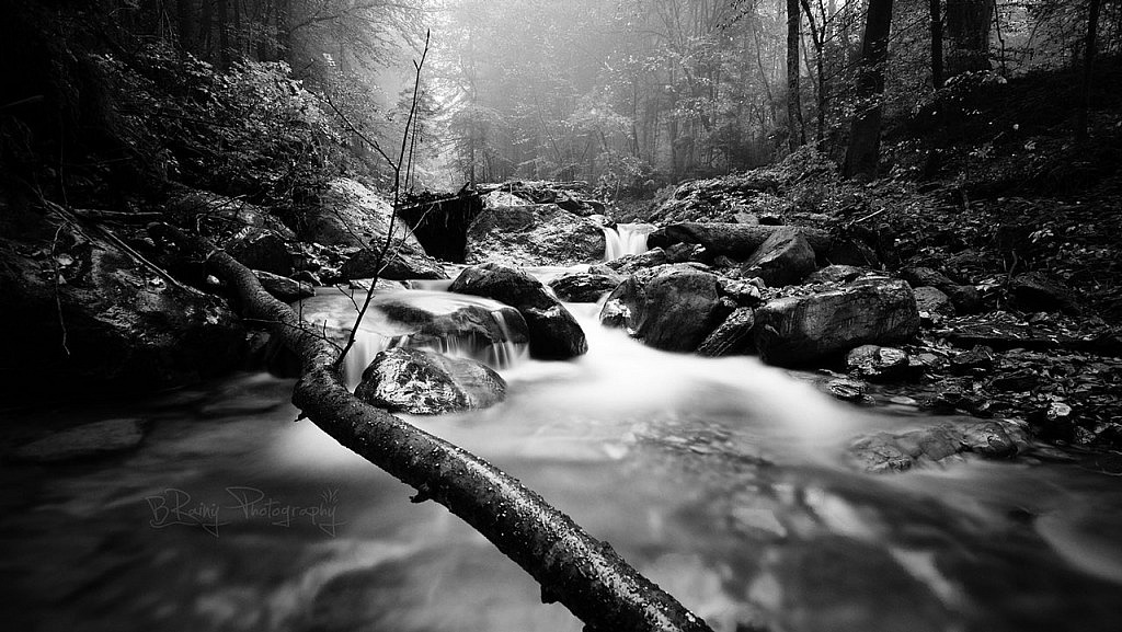 Retomando la Fotografía en Blanco y Negro y 50 Fotos para Coger Ideas