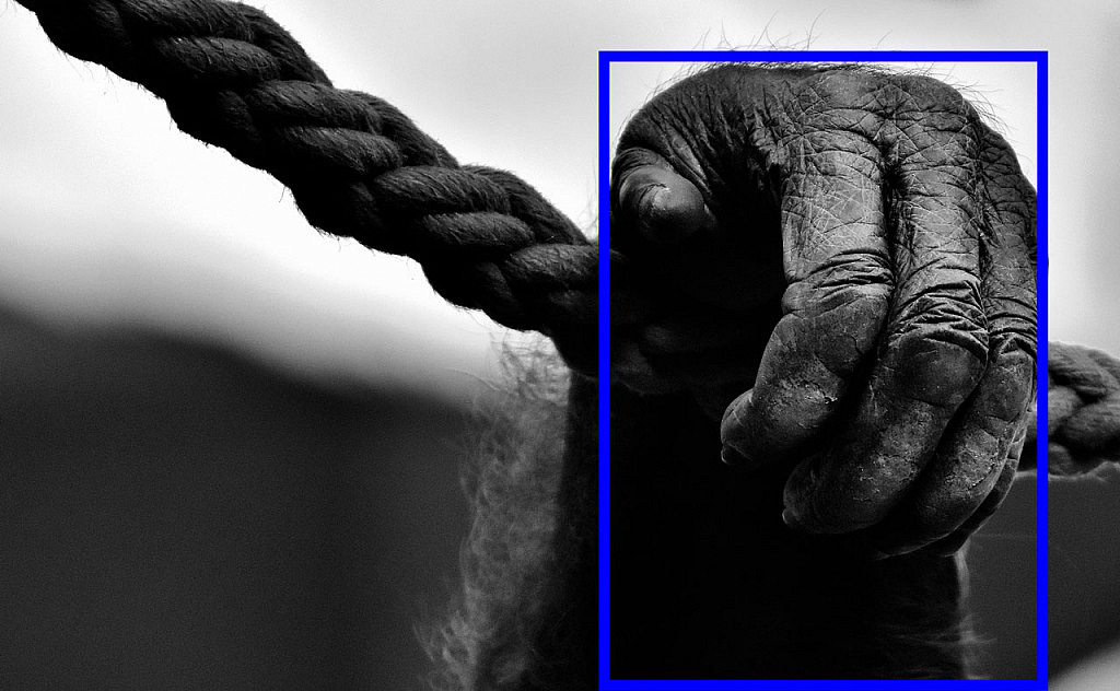 Qué es el Peso Visual y Cuál es su Efecto en la Composición Fotográfica Qué es el Peso Visual y Cuál es su Efecto en la Composición Fotográfica