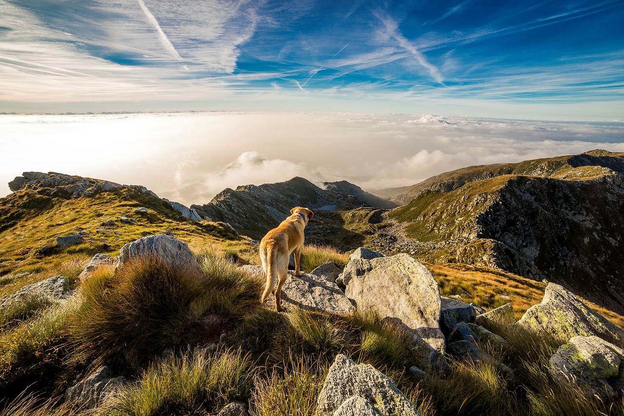 Bracketing de Enfoque en Paisajes: tu Fotografía Mucho Más Nítida