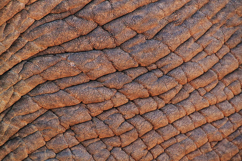 Las Texturas en Fotografía y Cómo Sacarles Jugo Las Texturas en Fotografía y Cómo Sacarles Jugo