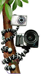 wpid-gorillapod-pres.jpg