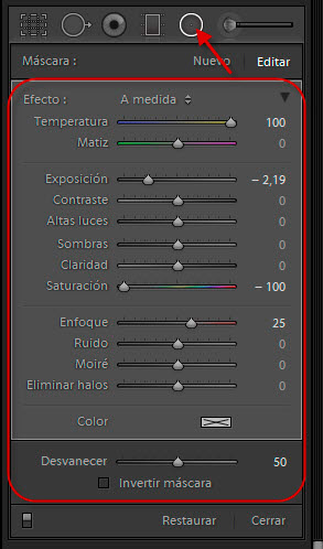 Opciones de la herramienta Filtro Radial