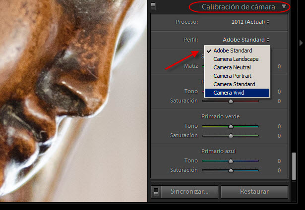 Calibración cámara